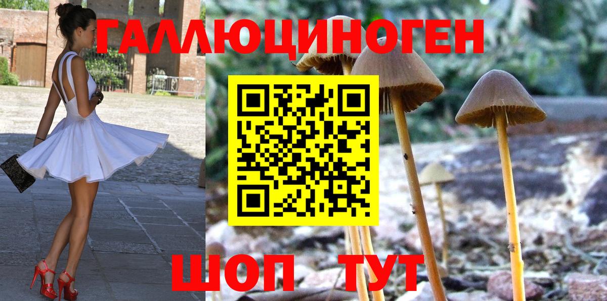 купить наркотики сайты  Галлюциногенные грибы мицелий  Вход с VPN  Ухта 