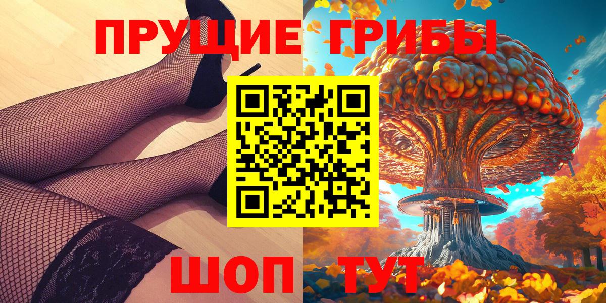 Псилоцибиновые грибы Psilocybe Ухта